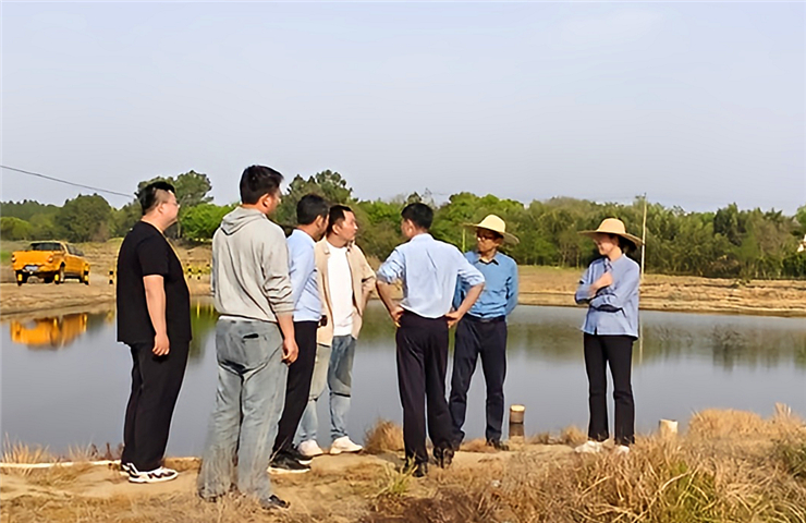 市生态环境局副局长杨自明带队督导郎溪县梅溧河水质攻坚工作
